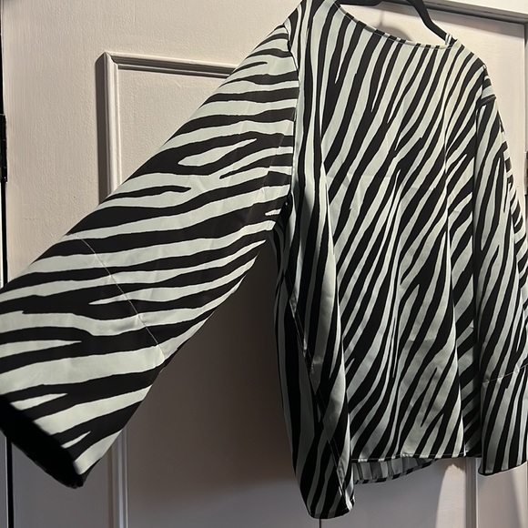 En Thread tunic style mint-green zebra print blouse. XL.  EUC - Picture 2 of 4